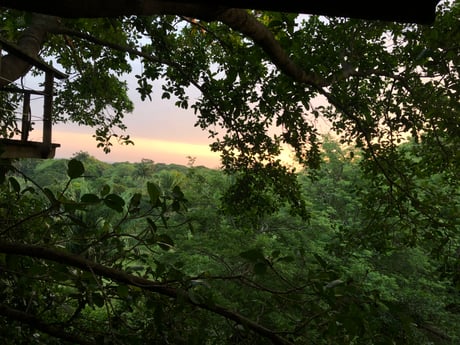 View from the studio bedroom window. Magic mornings in the Utila Treehouse.